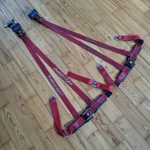 Red Zender Seatbelt Set